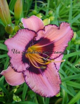 ABOUT THE PEOPLE ABOUT THE PEOPLE