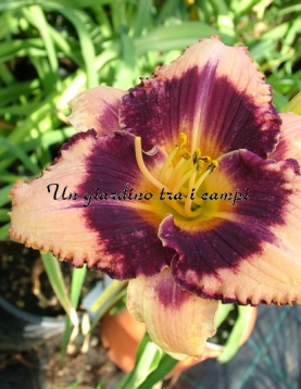 ABOUT THE PEOPLE ABOUT THE PEOPLE