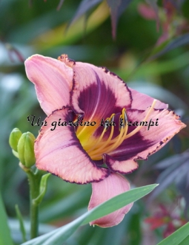 ABOUT THE PEOPLE ABOUT THE PEOPLE