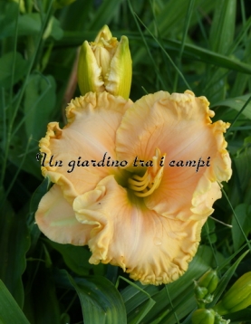 ACROSS THE GALAXY ACROSS THE GALAXY