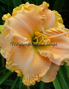 ACROSS THE GALAXY ACROSS THE GALAXY