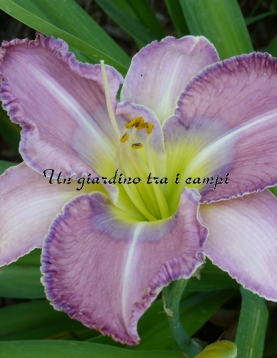 ADA MAY MUSICK ADA MAY MUSICK