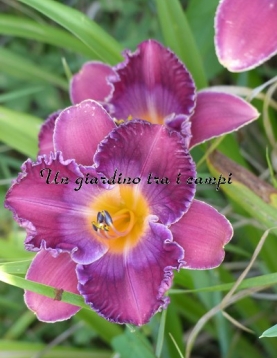 AESTHETIC BALLET AESTHETIC BALLET