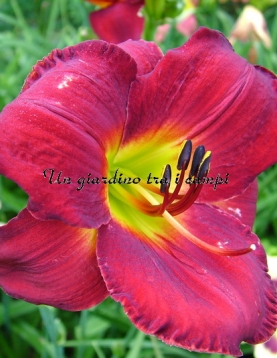 ALEJANDRO DAVALOS ALEJANDRO DAVALOS