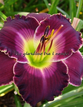 ALL OF MY LOVE TO YOU ALL OF MY LOVE TO YOU