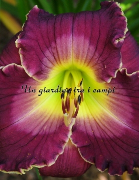 ALL OF MY LOVE TO YOU ALL OF MY LOVE TO YOU