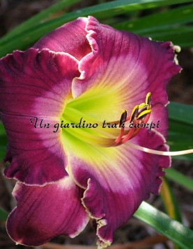 ALL OF MY LOVE TO YOU ALL OF MY LOVE TO YOU