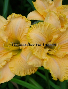 AMERICA'S MOST WANTED AMERICA'S MOST WANTED