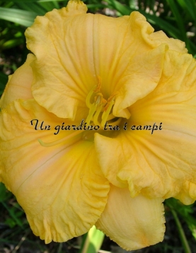 AMERICA'S MOST WANTED AMERICA'S MOST WANTED