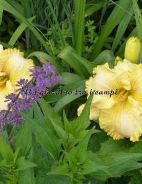 AMERICA'S MOST WANTED AMERICA'S MOST WANTED