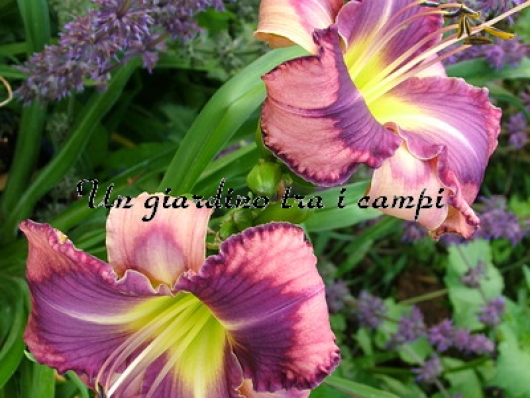 ART A FACT ART A FACT