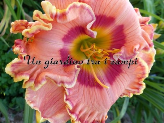 BAJA CALIFORNIA BAJA CALIFORNIA