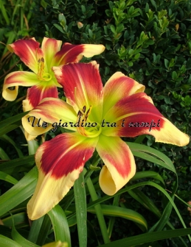 BRIGHT EYED AND BUSHY TAILED