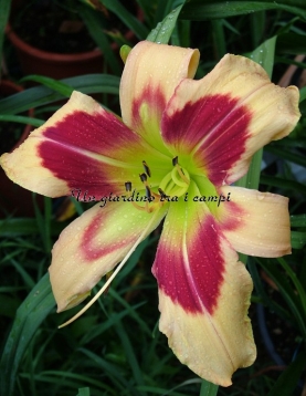 BRIGHT EYED AND BUSHY TAILED