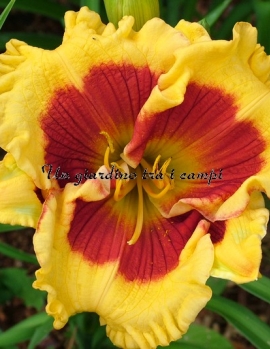 BROOKWOOD LEE CAUSEY 