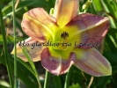 BUTTERFLIES ARE FREE BUTTERFLIES ARE FREE