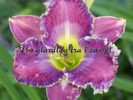 DANNY STEVE MITCHELL 