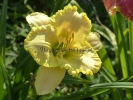 FLORIDA'S GARDEN LIGHT