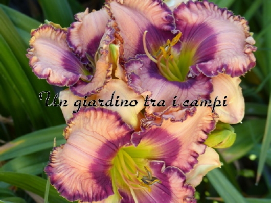 FORCE TO BE RECKONED WITH