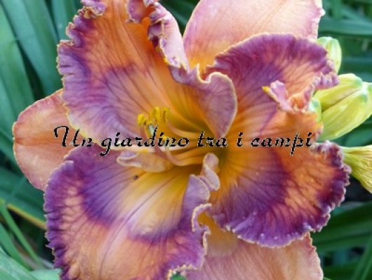 GREATER GOOD GREATER GOOD