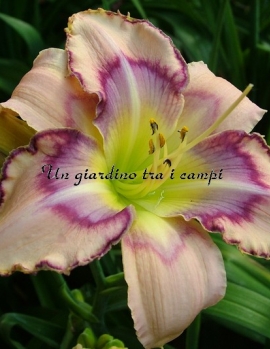 HANDWRITING ON THE WALL 