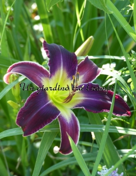 INCREASED COMPLEXITY