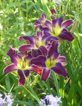 INCREASED COMPLEXITY