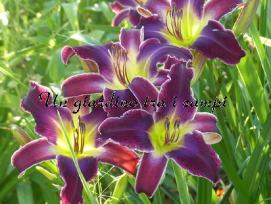 INCREASED COMPLEXITY INCREASED COMPLEXITY