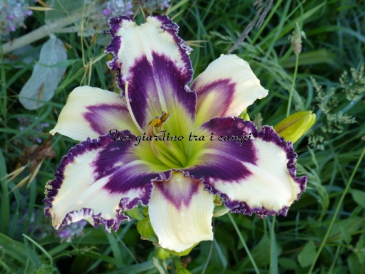 INSCRIBED ON MY HEART INSCRIBED ON MY HEART