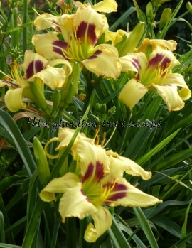 INTERGALACTIC INTERLUDE