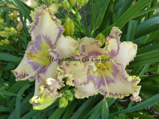 INTRICATE BY DESIGN INTRICATE BY DESIGN