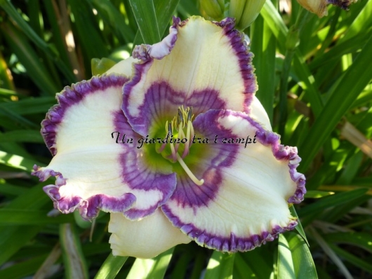 INVITING ROMANCE INVITING ROMANCE