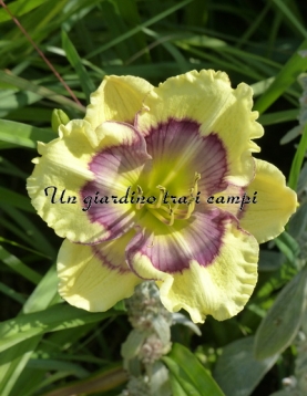 KALEIDOSCOPIC VORTEX