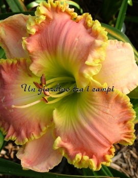 KENNESAW MOUNTAIN HAYRIDE