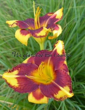 LEDGEWOOD'S FLAME OF FAITH