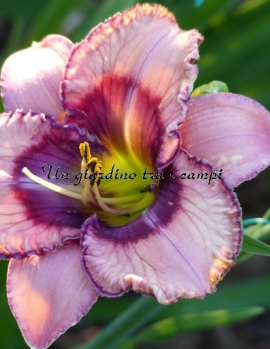 LOOKING INTO GOD'S EYES