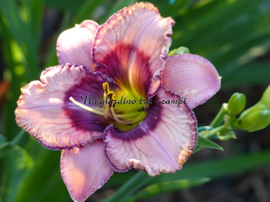 LOOKING INTO GOD'S EYES