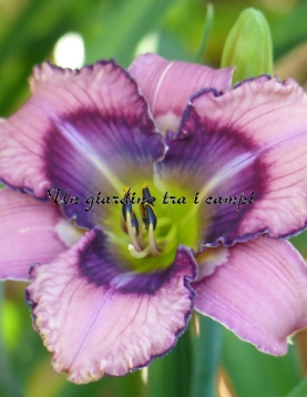 LOOKING INTO GOD'S EYES