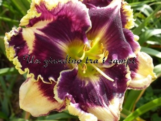 MACHO MACHO HEM MACHO MACHO HEM