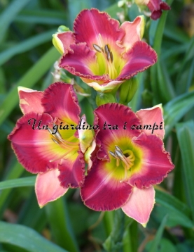 MALAYSIAN MARKETPLACE