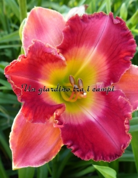 MALAYSIAN MARKETPLACE