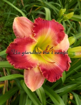 MALAYSIAN MARKETPLACE