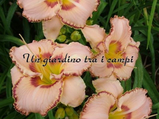 MISSISSIPPI ARTIST MISSISSIPPI ARTIST