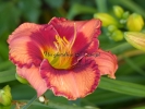 ORANGE CHERRY JUBILEE