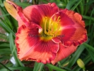 ORANGE CHERRY JUBILEE