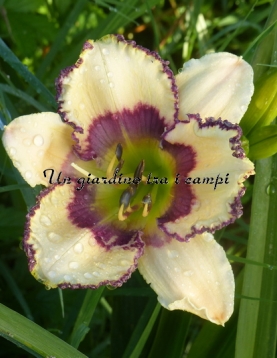 OTHER SIDE OF HEAVEN