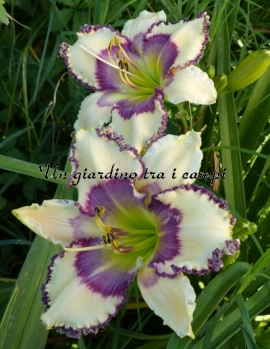 OTHER SIDE OF HEAVEN