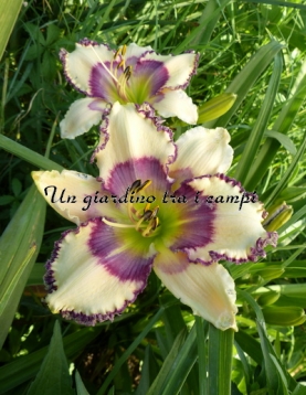 OTHER SIDE OF HEAVEN