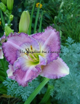 PALACE GARDEN BEAUTY