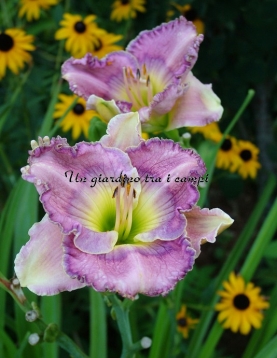 PALACE GARDEN BEAUTY